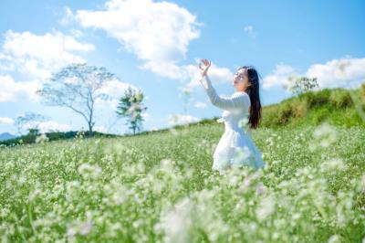 Top 5 bản làng đẹp nhất Mộc Châu mùa cải trắng 2025